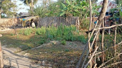 মুক্তিযোদ্ধার বসতভিটা ও কবরের জায়গা দখলের অভিযোগ উঠেছে