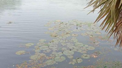 নারায়ণগঞ্জে লেকে ডুবে দুই কিশোরের মৃত্যু