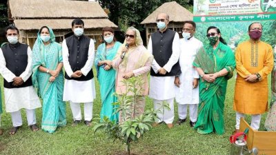 সরকারি অফিসে ছাদবাগান করতে বললেন প্রধানমন্ত্রী