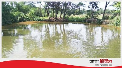 দুই ভাই বিয়ে করলেন একসঙ্গে, মারাও গেলেন একসঙ্গে