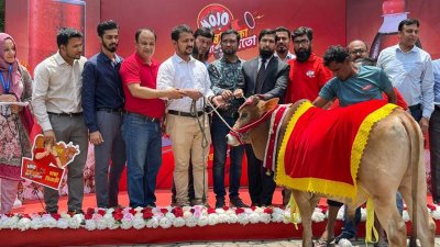 মোজো ক্যাম্পেইনের ‘হাম্বা’ গেলো বিজয়ীদের ঠিকানায়