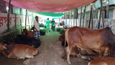 কোরবানির হাট (ফাইল ছবি)