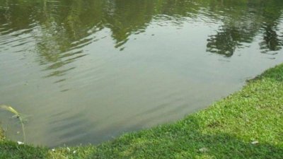 ডোবার পানিতে ভাসছিল দুই ভাইয়ের লাশ