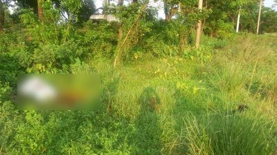বস্তায় লাশ