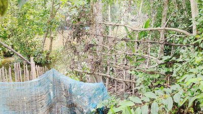 চলাচলের রাস্তায় প্রতিবন্ধকতা তৈরি করেছে স্থানীয় প্রভাবশালীরা