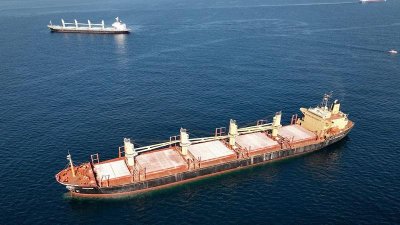 ইউক্রেন থেকে ছেড়ে যাওয়া শস্য বোঝাই জাহাজ। ছবি: রয়টার্স