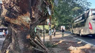 পিকনিকের বাস নিয়ন্ত্রণ হারিয়ে গাছের সঙ্গে ধাক্কা দেয়