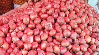 পেঁয়াজ (ফাইল ছবি)