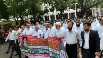 অধস্তন আদালতে বিএনপিপন্থি আইনজীবীদের বিক্ষোভ