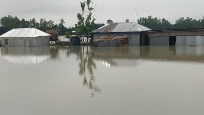 কুড়িগ্রামের নিম্নাঞ্চলে পানি প্রবেশ করেছে