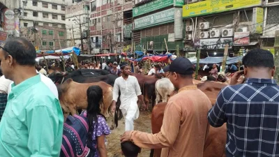 সামর্থ না থাকলেও সন্তানদের মন জোগাতে তাদের গরু দেখাতে কোরবানির হাটে আসছেন অনেকেই