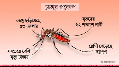 ডেঙ্গু: গ্রাফিকস গাজী শাহজাহান
