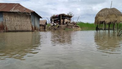বন্যা (ফাইল ছবি)