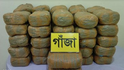 উদ্ধার হওয়া গাঁজা