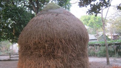 খড়ের গাদা/ফাইল ছবি