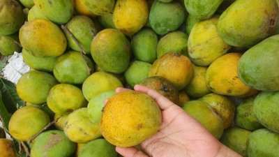 পুষ্টিগুণে ভরপুর আম। ছবি- বাংলা ট্রিবিউন