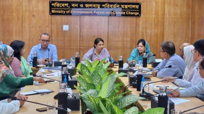 মতবিনিময় সভায় পরিবেশ উপদেষ্টা সৈয়দা রিজওয়ানা হাসান