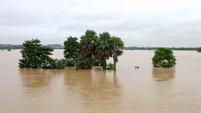 ছবি: বাংলা ট্রিবিউন