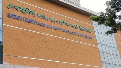 শেখ হাসিনা জাতীয় বার্ন ও প্লাস্টিক সার্জারি ইনস্টিটিউট (ফাইল ছবি)