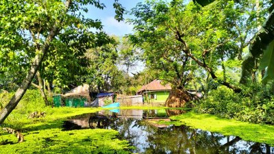 সাম্প্রতিক বন্যার পানি নামার আগেই আবারও বন্যার শঙ্কা দেখা দিয়েছে