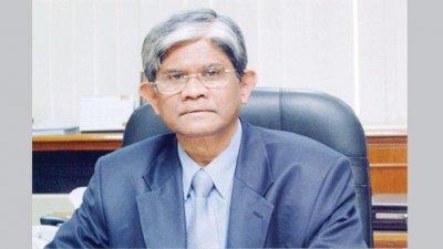 ড. সালেহউদ্দিন আহমেদ (ফাইল ছবি)