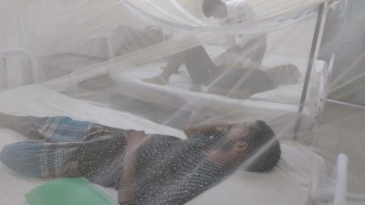 হাসপাতালে ডেঙ্গু রোগী