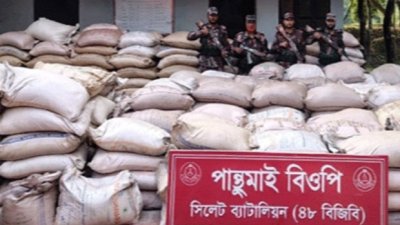 বিপুল পরিমাণ চোরাচালানের পণ্য জব্দ করেছে বিজিবি