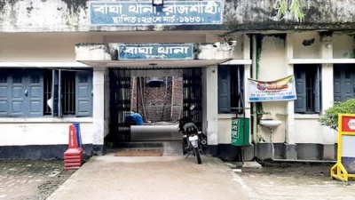 বাঘা থানা