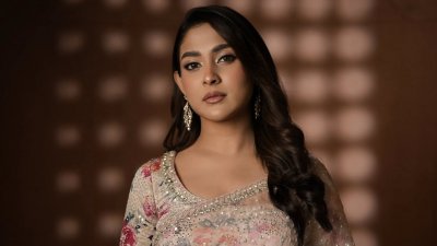 মেহজাবীন চৌধুরী (ফাইল ছবি)