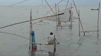 জাল ফেলে দীর্ঘ সময় বসে থেকেও পাচ্ছেন না কাঙ্ক্ষিত মাছ