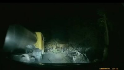 সড়কে গাছ ফেলে ডাকাতির চেষ্টা