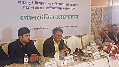 গোলটেবিল আলোচনায় অধ্যাপক আলী রীয়াজ