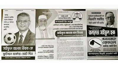 ঢাকা-১২ আসনে তিন 'সাইফুল'