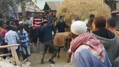 নওগাঁ-৫ (নওগাঁ সদর) আসনে নির্বাচনি প্রচারণা চালানোর সময় বিএনপি ও জামায়াতের নেতাকর্মীদের মধ্যে সংঘর্ষ