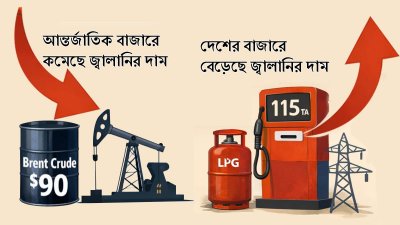 কোলাজ: বাংলা ট্রিবিউন