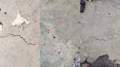 সড়কের নির্মাণ কাজ শেষ না হতেই দেখা গেছে ফাটল