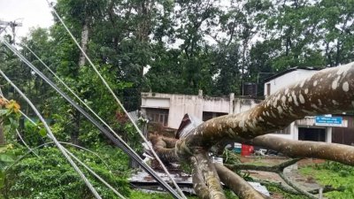 মৌলভীবাজারের কমলগঞ্জ উপজেলায় কালবৈশাখী ঝড়ে গাছ উপড়ে পড়ে বিদ্যুৎ ব্যবস্থা বিপর্যস্ত হয়ে পড়েছে