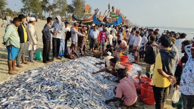 উপকূলীয় এলাকায় মানুষের আয়ের একমাত্র উৎস মাছ