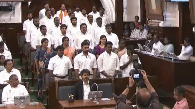তামিলনাড়ু বিধানসভায় আস্থা ভোটে বড় জয় পেলেন মুখ্যমন্ত্রী থালাপতি বিজয়। ছবি: ইন্ডিয়া টুডে
