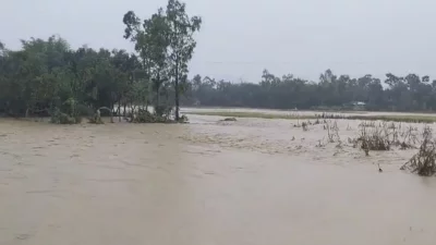 ফসলের জমি পানিতে তলিয়ে গেছে