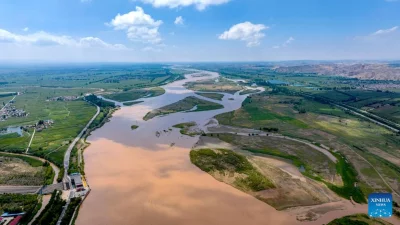 গবেষণাটি প্রকাশিত হয়েছে বিজ্ঞান সাময়িকী সায়েন্স অ্যাডভান্স-এ। প্রতীকী ছবি: সিএমজি