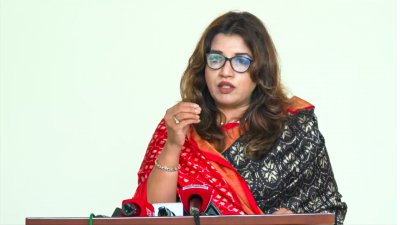 শামা ওবায়েদ ইসলাম (ফাইল ছবি)