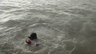 নদীতে নিখোঁজ ব্যাপারা ও গরু উদ্ধারে অভিযান চলছে