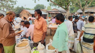 নওগাঁর অন্যতম বৃহৎ ধানের হাট সাবাইহাটের চিত্র (ছবি: বাংলা ট্রিবিউন)