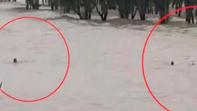 চট্টগ্রামের সীতাকুণ্ডের গুলিয়াখালী সমুদ্রসৈকতে আবারও গোসলে নেমে ভেসে যাচ্ছিলেন চার পর্যটক
