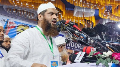 কথা বলছেন মাওলানা মুহাম্মাদ মামুনুল হক (ফাইল ছবি)