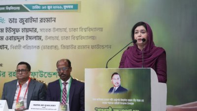 কথা বলছেন ডা. জুবাইদা রহমান