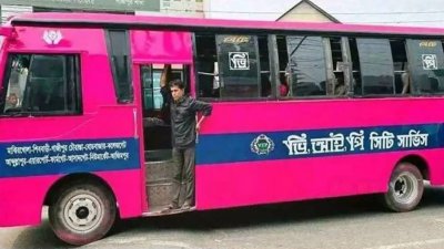 গোলাপি বাস (ফাইল ছবি)