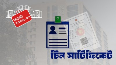 ট্যাক্সপেয়ার আইডেন্টিফিকেশন নম্বর (টিআইএন)