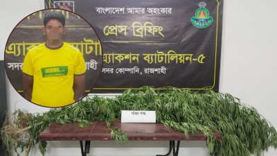 রাজশাহীর পুঠিয়া উপজেলায় পানের বরজে গাঁজা চাষ করায় এক ব্যক্তিকে গ্রেফতার করেছে র্যাব-৫
